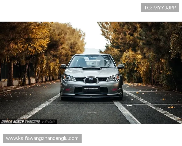 凯发官网址官方入口安全登录指南保障玩家账号安全